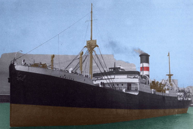 SS Auditor